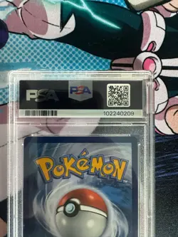 Pokemon Squirtle Card Stellar Crown Illustration 148/142, PSA 10 Gem Mint - Image 5