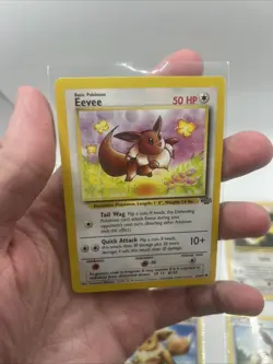 25 Different Eevee Pokemon TCG Card Lot - Jungle Rocket WOTC Holo Promo + - Image 2