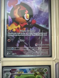 Phantasmal Flames Lot Pokemon Center Promo Charcadet Charizard Dawn Etc NM/Mint - Image 4