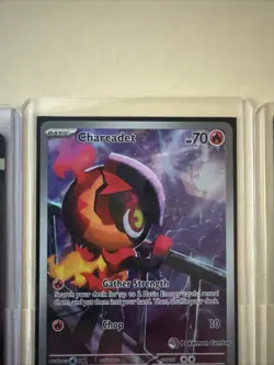 Phantasmal Flames Lot Pokemon Center Promo Charcadet Charizard Dawn Etc NM/Mint - Image 5