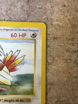 1999 Pokemon TCG Pidgeotto 22/102 SHADOWLESS Base Set WOTC Non-Holo Rare HP - Image 3