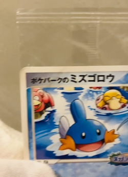 (EX) Sealed Mudkip 048/PCG-P Pokepark Promo 2005 Psyduck Japanese Pokemon Card - Image 2