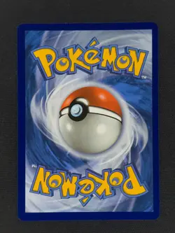 M Pidgeot EX 105 Pokemon Evolutions 2016 NM 🔥🔥🔥 - Image 2