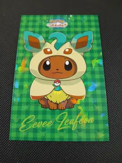 Pokemon Let's Go Eevee Database Peru Leafeon Eevee Flannel Poncho US Seller - Image 1
