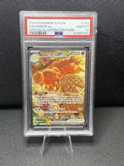 Pokemon TCG Dachsbun ex 169/142 Stellar Crown Special Illustration Rare - PSA 10 - Image 3