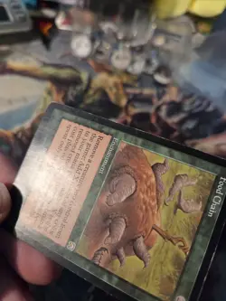 MTG English Food Chain HP OG Mercadian Masques - Image 4