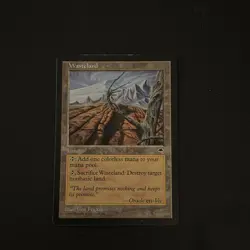 Magic The Gathering Tempest Wasteland #330 Lightly played - Image 1