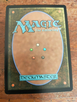 MTG - Jetmir's Garden - Streets of New Capenna [Near Mint] - Image 2