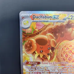 Pokemon Dachsbun EX 169/142 Stellar Crown Special Illustration NM Condition - Image 4