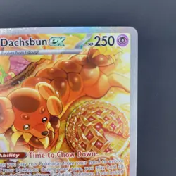 Pokemon Dachsbun EX 169/142 Stellar Crown Special Illustration NM Condition - Image 5