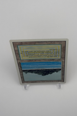 Tropical Island Revised Edition Regular - Image 4