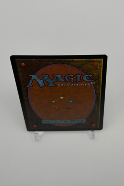 Tropical Island Revised Edition Regular - Image 5