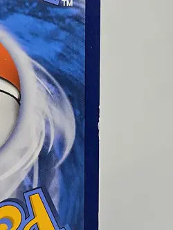 Gyarados XY109 XY Promo Holo Pokemon TCG - Image 5