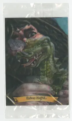 Harry Potter Chocolate Frogs Wizard Card "Rubeus Hagrid" 6/12 (New, sealed) - Image 1