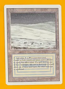 MTG TUNDRA Revised (OldManMTG 013-237) - Image 1