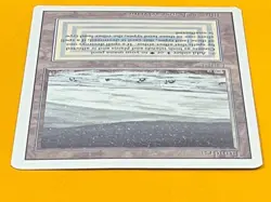 MTG TUNDRA Revised (OldManMTG 013-237) - Image 3