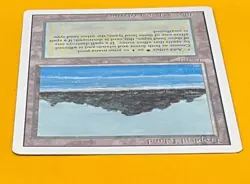 MTG TROPICAL ISLAND Revised (OldManMTG 013-234) - Image 3