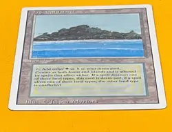 MTG TROPICAL ISLAND Revised (OldManMTG 013-234) - Image 5