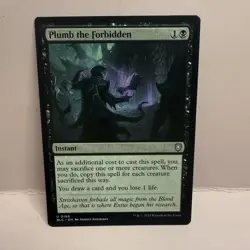 Plumb The Forbidden - N/M - Bloomburrow BLC Magic The Gathering MTG - Image 1