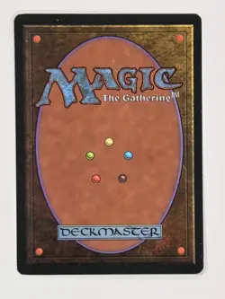 Adarkar Wastes - Magic: The Gathering MTG - Ice Age - Image 2