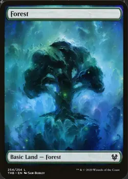 Magic The Gathering, Full Art Forest, Theros Beyond Death, Regular - Image 1