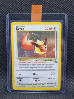 Eevee #11 - Black Star WOTC Holo Promo - Pokemon Card - Near Mint - Free Post - Image 1