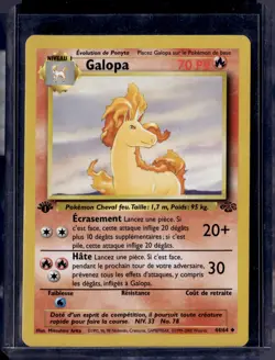 Rapidash 1st Edition Non Holo 44/64 Jungle (FRENCH) (NM) / Pokemon TCG - Image 1