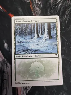 Snow-Covered Forest (White Border) MB2 Regular Common #120 NM MTG - Image 1
