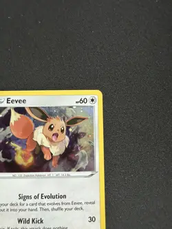 Eevee SWSH042 - Pokemon Sword & Shield Black Star Promo Card - NM - Image 5