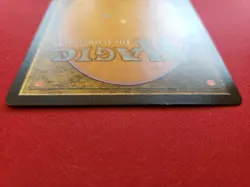 Spellseeker BBD #41 MtG - Image 4