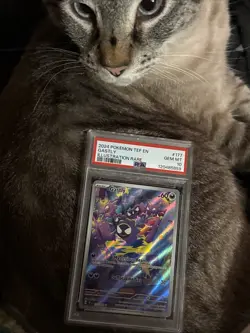 Pokemon TCG Gastly Scarlet & Violet Temporal Forces 177/162 Psa 10 - Image 1