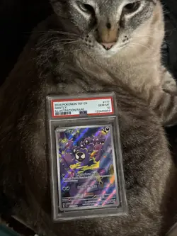 Pokemon TCG Gastly Scarlet & Violet Temporal Forces 177/162 Psa 10 - Image 2