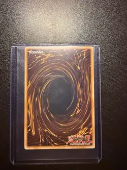 Red-Eyes Wyvern ANPR-ENSE2 Ancient Prophecy Se Limited Edition - Image 2