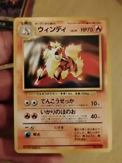 Pokemon Cards Umbreon Espeon Arcanine Eevee P.M Japanease Amazing Check Pics - Image 5