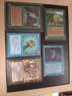 MTG Card Legends card set all Italian including #207 Sylvan Library - Image 1