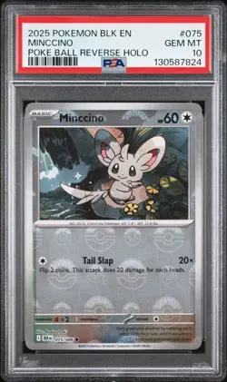 2025 Pokemon BLK EN Minccino PSA 10 GEM Poke Ball Reverse Holo #075 - Image 1