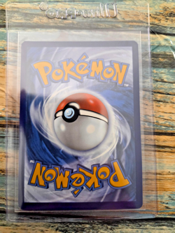 Pokemon TCG Noctowl SVP 141 Black Star Promo Holo NM - Image 2