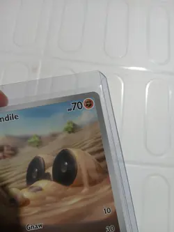 Pokemon Sandile 216/198 Scarlet And Violet Base Set Illustration Rare TCG 🔥🔥 - Image 3