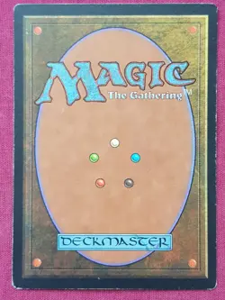 Magic The Gathering MIRAGE FORSAKEN WASTES black card MTG - Image 2