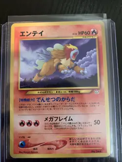 Japanese Entei No. 244 Neo Premium File 3 Promo Neo Folder NM - Image 1