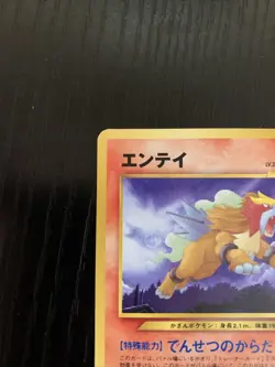Japanese Entei No. 244 Neo Premium File 3 Promo Neo Folder NM - Image 5