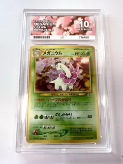 ACE 10 Typhlosion Meganium Feraligatr Sequential Neo Premium File 1 Set Pokemon - Image 2