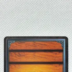 One Piece Cardgame Carddass Booster4 Holo RK-C02 Ace Bandai 2002 Japan - Image 5