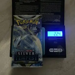 VERY HEAVY!! 🔥 22.4g! Sleeved Silver Tempest Pokemon TCG Sealed Booster Pack - Image 1