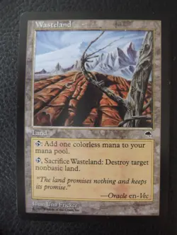 MTG Magic the Gathering Wasteland / Einode EX Tempest Sturmwind - Image 1
