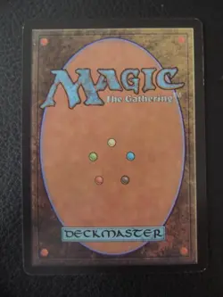 MTG Magic the Gathering Wasteland / Einode EX Tempest Sturmwind - Image 2