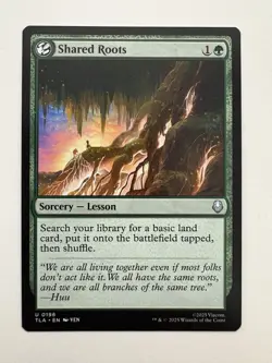 Shared Roots MTG Magic the Gathering Card NM Near Mint TLA - Image 1