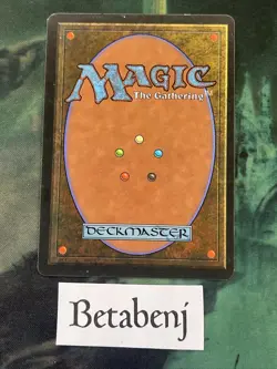 MTG Brushland Ice Age - Image 2