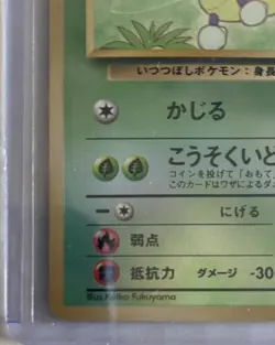 Pokemon TCG Southern Islands Set Ledyba Japanese NM - Image 4