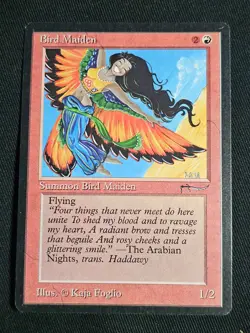 MtG Arabian Nights Singles - Magic the Gathering - Image 4